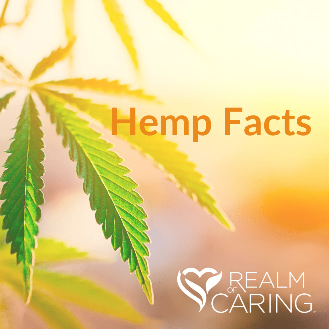 Hemp History Realm Of Caring Foundation