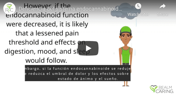 Deficiencia del sistema endocannabinoide (SEC)