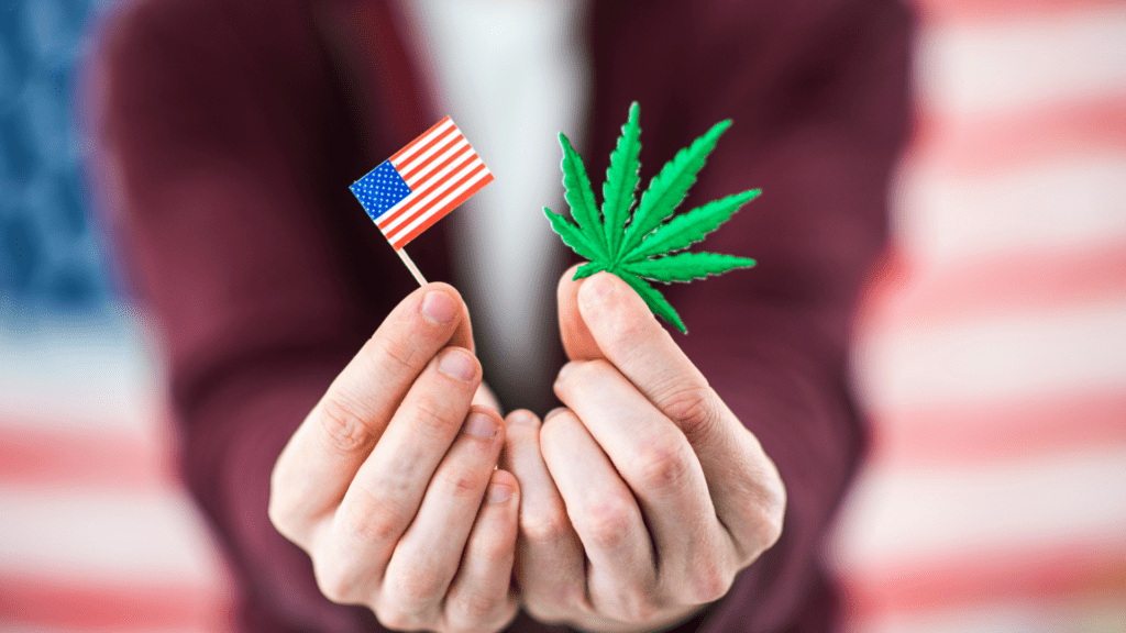 Cannabis Legalization Predictions for 2022