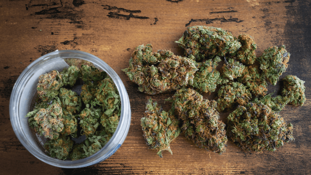 Cannabis Strains: What do they mean?