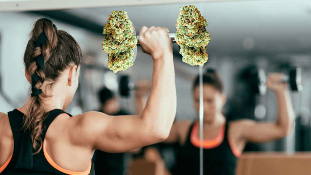 Cannabis & Exercise: What the Research Says
