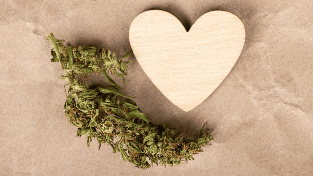Can CBD Support a Healthy Heart?
