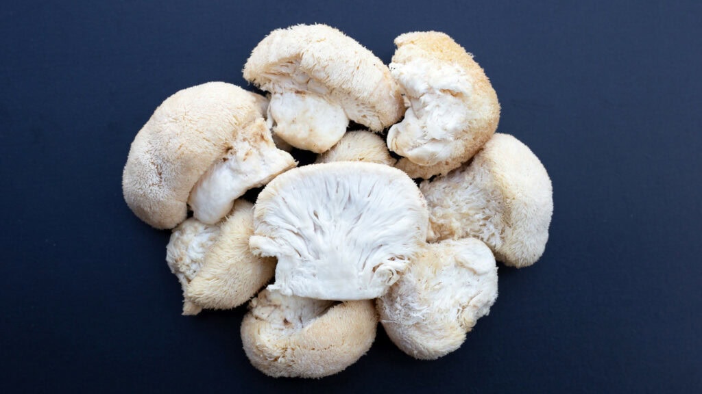 The Therapeutic Potential of Mushrooms: Lion’s Mane and Reishi