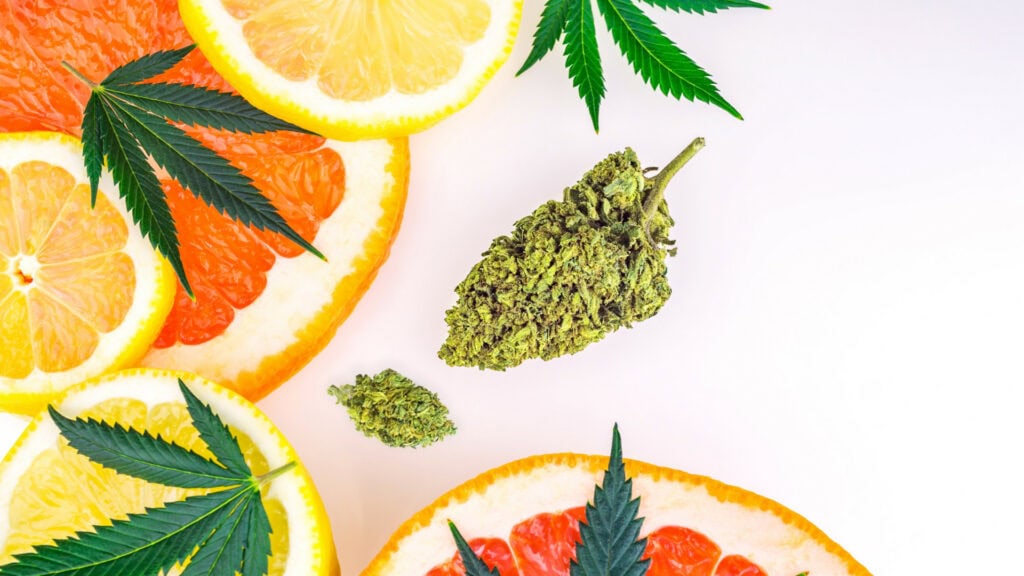 Flavonoids in CBD: What You Need to Know