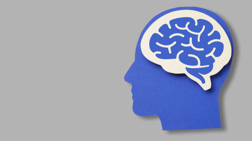 Holistic Health Options for Alzheimer’s and Healthy Aging: CBD and Other Plant Botanicals