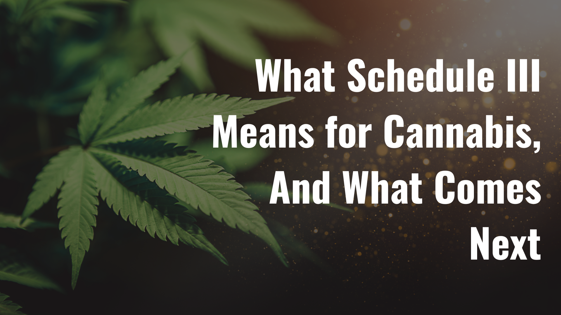 Schedule III Cannabis