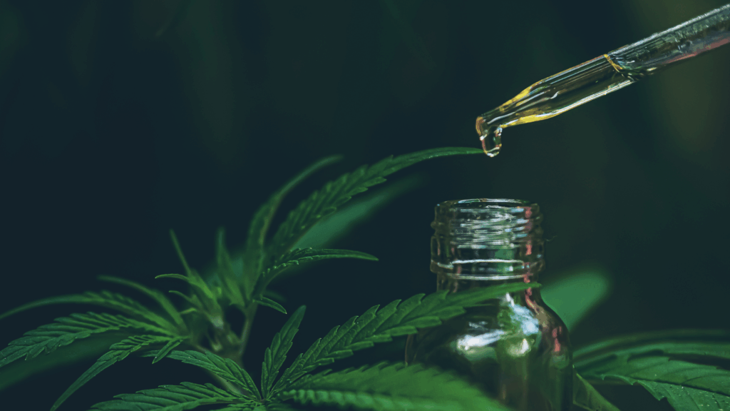 Full-Spectrum CBD Is Under Threat – And Millions Could Lose Access