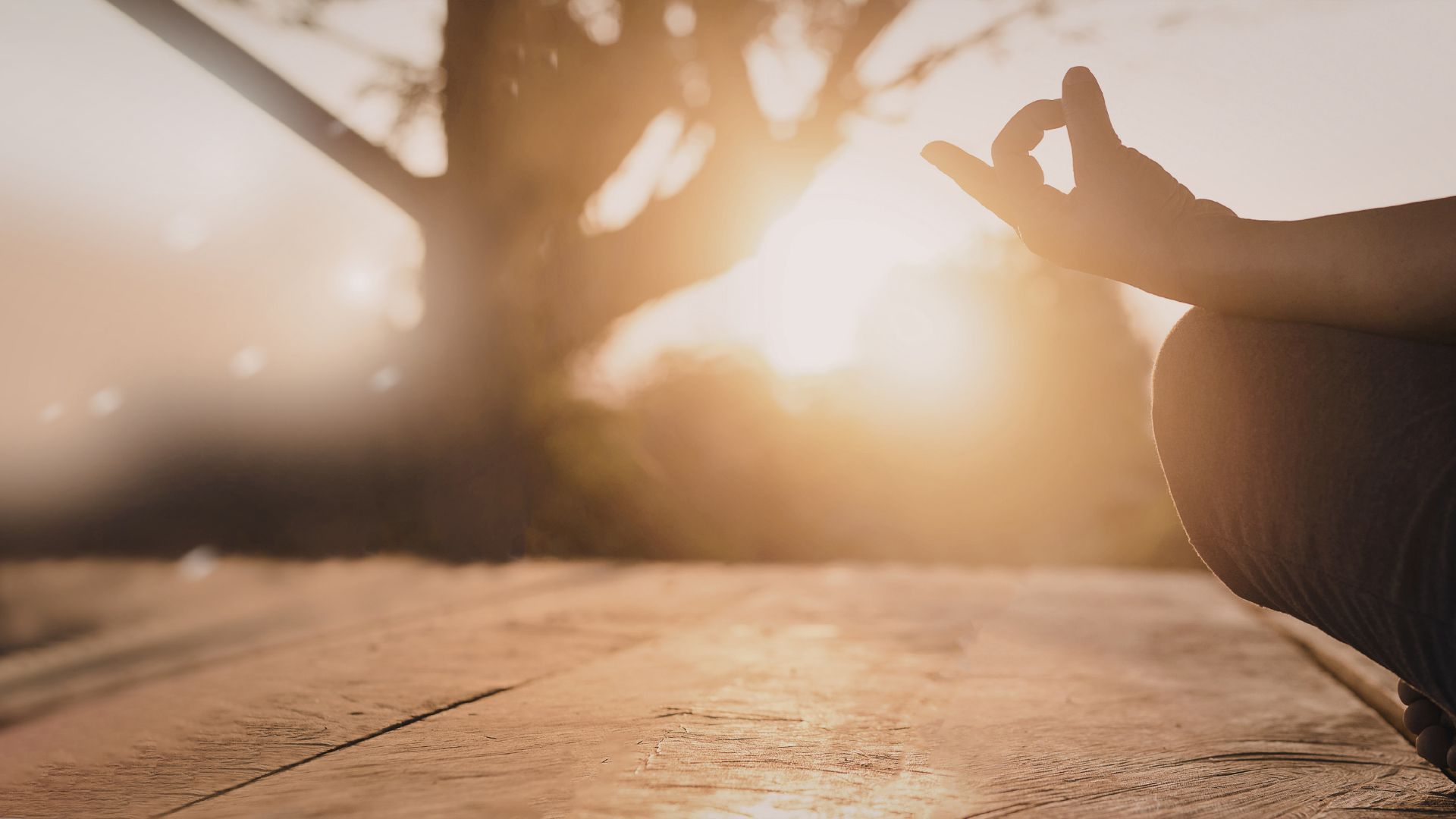 Safely incorporating cannabis for your health