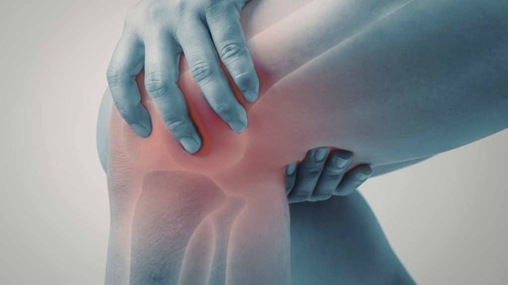 Can CBD Support Bone Health?