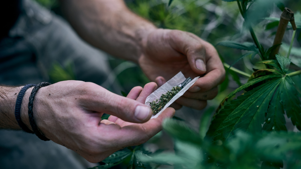 How To Roll the Perfect Joint: A Beginner-Friendly Guide for 4/20 (and Beyond)