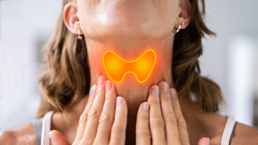 CBD and Thyroid Function: What Current Research Tells Us