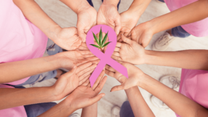 hands hold the breast cancer ribbon with a cannabis leaf in the middle